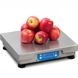 Point of Sale Digital Scale 30lb x 0.01lb With Internal Display, 12" x 14" Platform