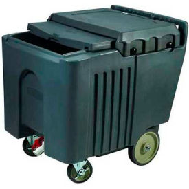 Ice Caddy, Sliding Cover, Polyethylene, 125 Lbs. Capacity