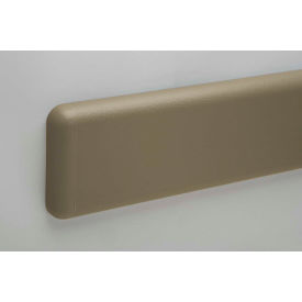 PetG Crash Rail-Type Wall Guard, 12' x 1" x 6"