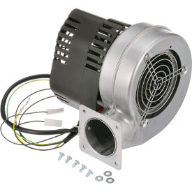Blower & Motor Assembly, 120V