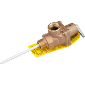 Press/Temperature Relief Valve