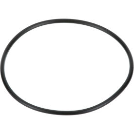 O-Ring For Everpure