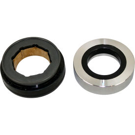 Pump Seal For Blakeslee