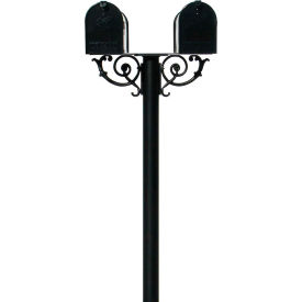 The Hanford Twin Post No Base & E1 Economy Mailbox