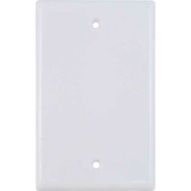 Blank (O) Port Keystone Wall Plate (Flush) White