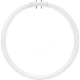 22W Fluorescent T5 Circline Bulb, 2GX13, Cool White