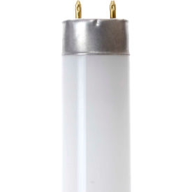 17W Fluorescent T8 Bulb, Medium Bi-Pin, Cool White.