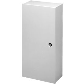 Large Type 1 Enclosure, 48.00X36.00X9.25, Steel/Gray