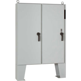 2 Door Wall Mount Enclosure, 60.12" X 49.75" X 18.12", Painted