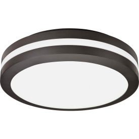 Outdoor Ceiling-Mount LED General Purpose Light 120V 1000 Lumens