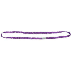 RoundUp 3/4"W 10'L Endless Poly Roundsling, Purple