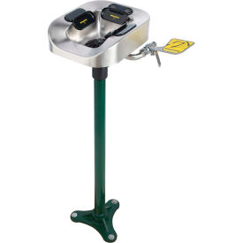 Optimus™ Pedestal Mounted Eye & Face Wash with Stainless Steel Bowl