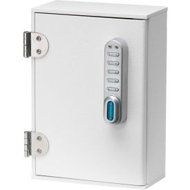 Small Patient E-Lock Security Wall Cabinet,1 Adjustable Shelf 7-1/2"W x 4"D x 10-1/2"H