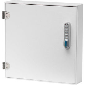 Large Patient E-Lock Security Wall Cabinet, 2 Adjustable Shelves 16"W x 4"D x 16-1/4"H
