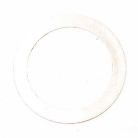 Shim, 25.4 mm OD x 19 mm OD x 0.05 mm Thick, 1 Pkg Qty