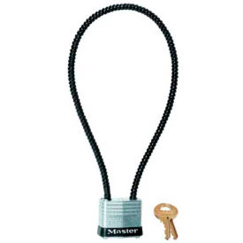 Armored Cable Gun Lock