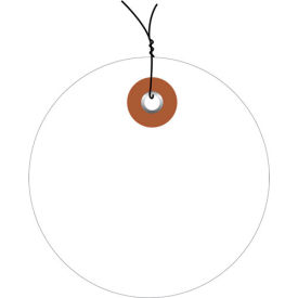 Plastic Circle Tag Pre Wired 3" Dia., White, 100/Pack