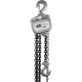 Industrial Manual Chain Hoist, 1 Ton Capacity 10' Lift