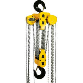 Manual Chain Hoist With Std. Overload Protection 30 Ton Cap. 10' Lift