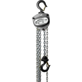 Industrial Manual Chain Hoist, 1/4 Ton Capacity 10' Lift