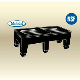 HDC PolyMight Dunnage Rack W/Casters 48"W x 22"D x 16"H, 2000 Lbs. Capacity