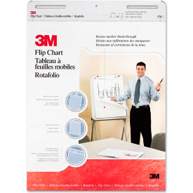 Prof Flip Chart Pad 570, 25" x 30", White, 2/Carton
