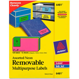 Removable Self-Adhesive Multipurpose Labels, 2 x 4, Assorted Neon, 120/Pack
