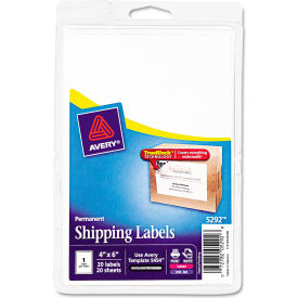 Laser/Inkjet Shipping Labels w/TrueBlock Technology, 4 x 6, White, 20/PK