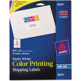 Inkjet Labels for Color Printing, 3-1/3 x 4, Matte White, 120/Pack