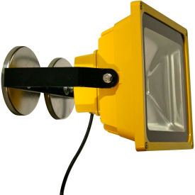 Portable Heavy-Duty LED Flood Light - 40W, Magnet Mount