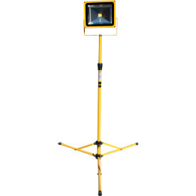 Battery Powered Portable Heavy-Duty LED Flood Light - 30W, 4-8' Tripod