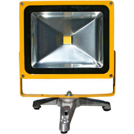 Battery Powered Portable Heavy-Duty LED Flood Light - 30W, Floor Stand