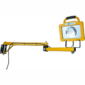 38W LED Dock Light On 40" Arm, 3500 Lumens, 5700K, 10' 18/3 cord