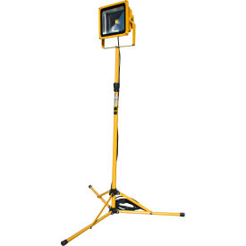 Portable Heavy-Duty LED Flood Light - 50W, 4-8' Tripod