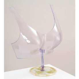 Free Standing Bra Form - Clear Plastic