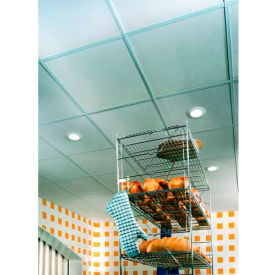 Sheetrock Ceiling Panels, Gypsum Panel, White, 48" x 24"