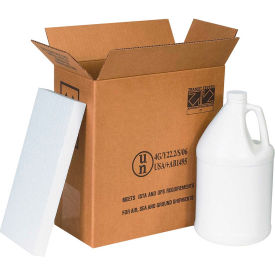 Two 1 Gal. Plastic Jug Haz Mat Shipper Kit, 12"L x 6"W x 12-3/4"H