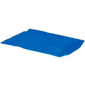 Flat Poly Bags, 12"W x 15"L, 2 Mil, Blue, 1000/Pack