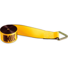 Winch Strap with Delta Ring - 30' x 4" Gold