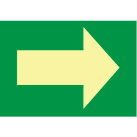 Fire Safety Arrow Graphic Sign, 6 Hour Glow, Vinyl, 10"W x 7"H