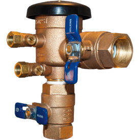 3/4" Pressure Vacuum Breaker Assembly