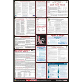 Labor Law Poster - Georgia - Spanish