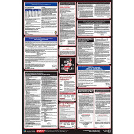 Labor Law Poster - New York - Spanish