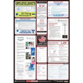Labor Law Poster - Illinois