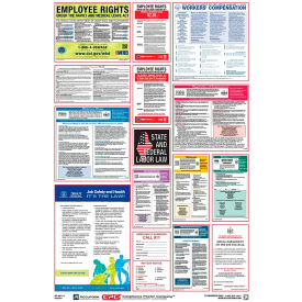 Labor Law Poster - Minnesota