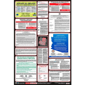 Labor Law Poster - Florida - Spanish