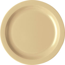 Plate Narrow Rim, 10", Slate Blue