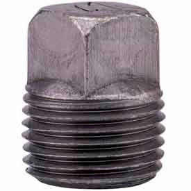 2 In. Black Malleable Square Head Plug 150 PSI Lead Free