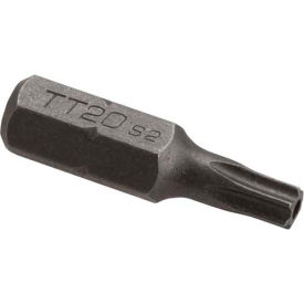 Elkay 75523C Pinned Torx Bit T-20