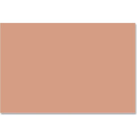 SunWorks Groundwood Construction Paper, 18"x12", Light Brown, 50 Sheets